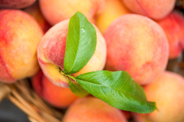 Close up of a basket of ripe peaches