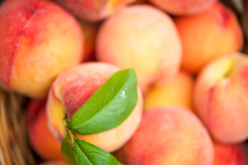 Close up of a basket of ripe peaches