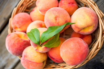 Close up of a basket of ripe peaches