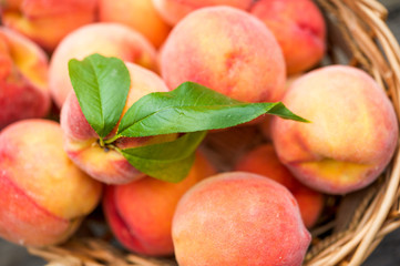 Close up of a basket of ripe peaches