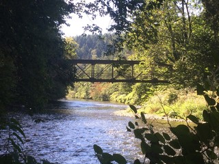 Brücke im Wald führt über die Wupper