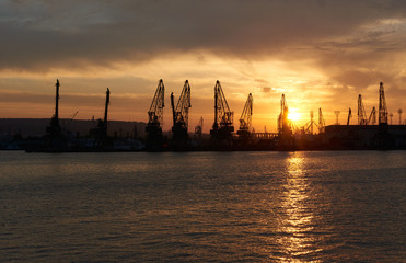 Dried aubergine and red pepper at the bazaar. Dry eggplants are popular ingredient