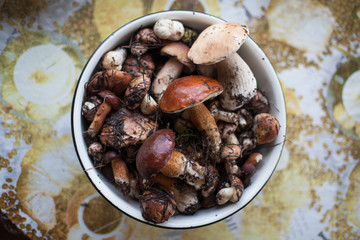 bowl of mushrooms