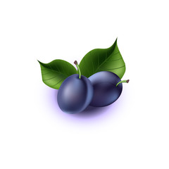 Two plums on the packaging with the product of plums, vector illustration.