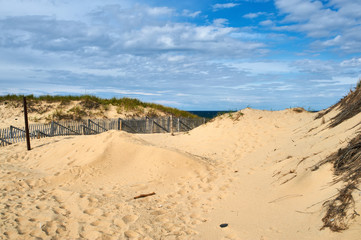 Landscape with sand dunes at Cape Cod