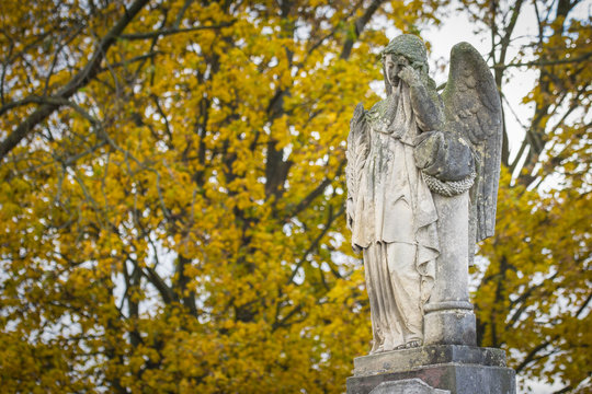 Crying angel statue at old cemetery in autumn. Mourns those who have died