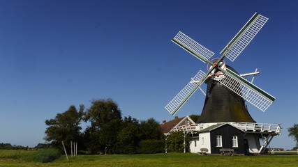 Fototapeta premium Seriemer Mühle