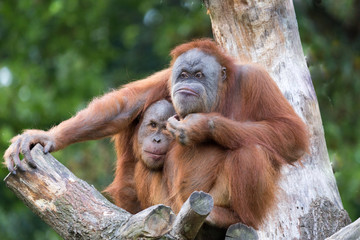 best friends lost in thought