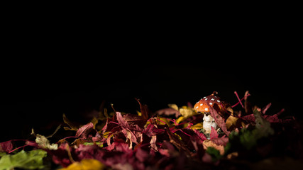 Bougie champignon dans les feuilles mortes 