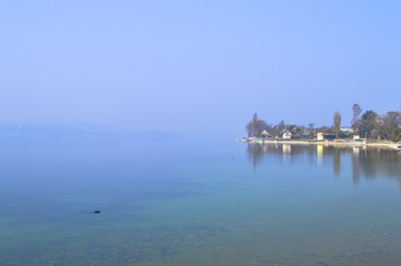 Nebel auf der Insel Reichenau, Bodensee