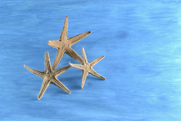 3 estrellas de mar "haciendo equilibrio". Fondo pintado de azul.