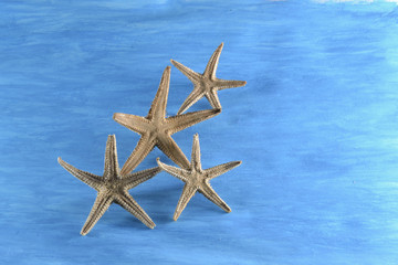 4 estrellas de mar "haciendo equilibrio". Fondo pintado de azul.