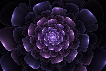 abstract fractal flower computer generated image