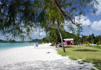 Pines and white sand of Church Valley beach - 5