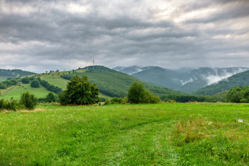 Fototapeta premium Clouds