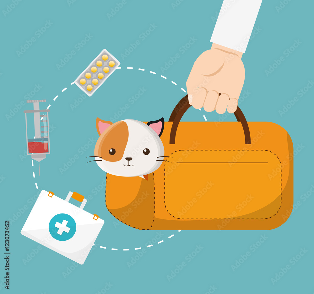 Wall mural pet care center service icons vector illustration design