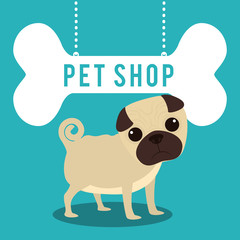 pet shop center icon vector illustration design