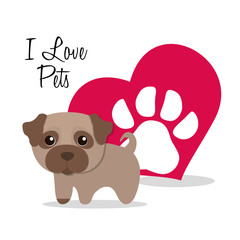 i love pets heart poster vector illustration design