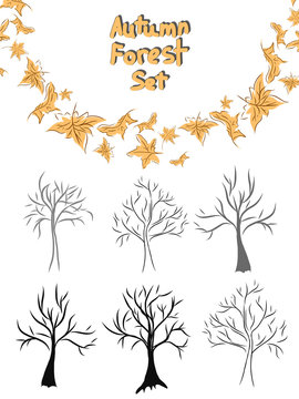 Tree silhouettes. Autumn tree. Autumn leaves. Vector illustration. Autumn forest set.