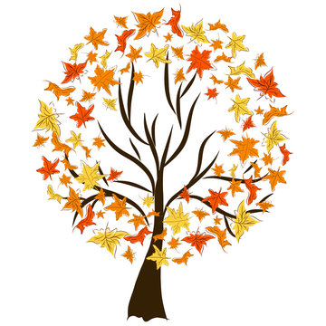 Tree silhouettes. Autumn tree. Autumn leaves. Vector illustration. Autumn forest.