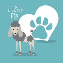 i love pets heart poster vector illustration design
