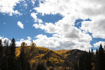 Mountain peaks with autumn colors and sky