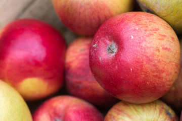 Fototapeta na wymiar Handpicked organic apples