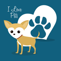 i love pets heart poster vector illustration design