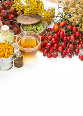 Medicinal plants and herbs composition: Dog rose, bunch branch Rosehips, types Rosa canina hips, essential oil. bunch, Tea with rosehip, Tansy, Anise, dried flowers of linden and chamomile on white 