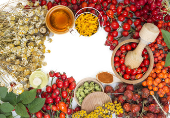Medicinal plants and herbs composition: Dog rose, bunch branch Rosehips, types Rosa canina hips, essential oil. bunch, Tea with rosehip, Tansy, Anise, dried flowers of linden and chamomile on white 