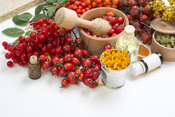 Medicinal plants and herbs composition: Dog rose, bunch branch Rosehips, types Rosa canina hips, essential oil. bunch, Tea with rosehip, Tansy, Anise, dried flowers of linden and chamomile on white 