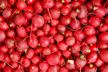 Background of fresh red radishes on the counter in the store.