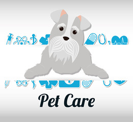 pet care center service icons vector illustration design
