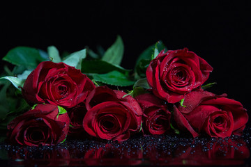 Roses isolated on black background