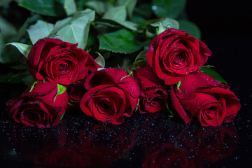 Obraz na płótnie Canvas Roses isolated on black background