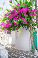 Fototapeta na wymiar The narrow streets with blue balconies, stairs, white houses and flowers in beautiful village in Greece. Beautiful architecture building exterior with cycladic style in Mykonos