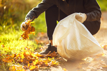 young boy  cleans  fallen leaves. concept of purity. autumn leaves. purity. Environment.
otdoor. gloves on his hands .volunteering, charity, cleaning, people and ecology concept