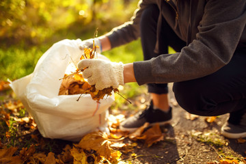 young boy  cleans  fallen leaves. concept of purity. autumn leaves. purity. Environment.
otdoor....