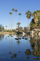 Fototapeta na wymiar Phoenix downtown as seen from Encanto Park Lake, AZ