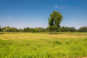 Countryside landscape scenery with rail crossing at end of summer windy day