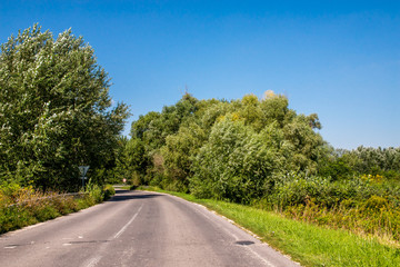 Fototapeta premium Asphalth third grade curved Slovak countryside road near forest, summer