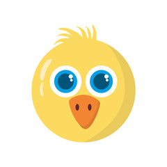 chicken little animal farm isolated icon vector illustration design