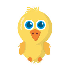 chicken little animal farm isolated icon vector illustration design