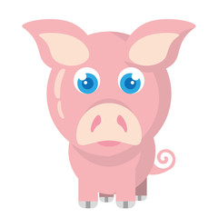 pig animal farm isolated icon vector illustration design