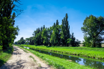 Rural water canal in forest