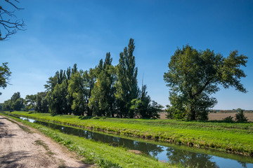 Fototapeta na wymiar Rural water canal in forest