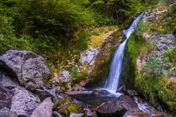 Fototapeta na wymiar Schöner Wasserfall im Sommer Oberschwarzwald 