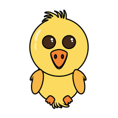 chicken little animal farm isolated icon vector illustration design