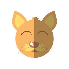 cat mascot cartoon isolated icon vector illustration design