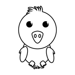 chicken little animal farm isolated icon vector illustration design